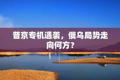 普京专机遇袭，俄乌局势走向何方？