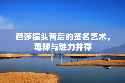 芭莎镜头背后的签名艺术，毒辣与魅力并存