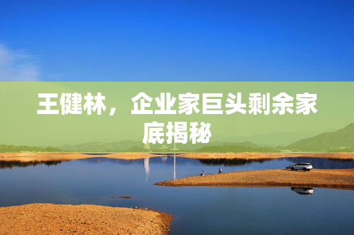 王健林，企业家巨头剩余家底揭秘