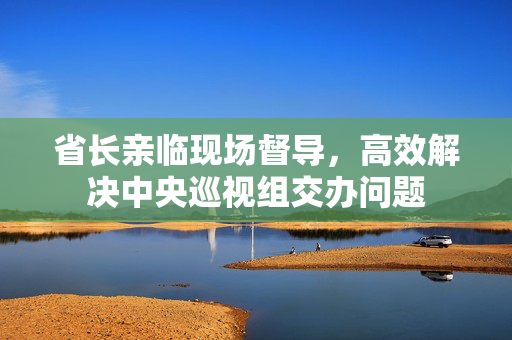 省长亲临现场督导，高效解决中央巡视组交办问题