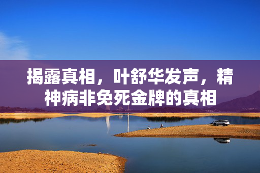揭露真相，叶舒华发声，精神病非免死金牌的真相