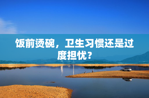饭前烫碗，卫生习惯还是过度担忧？