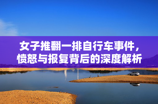 女子推翻一排自行车事件，愤怒与报复背后的深度解析