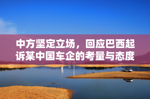 中方坚定立场，回应巴西起诉某中国车企的考量与态度