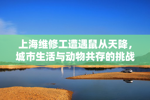 上海维修工遭遇鼠从天降，城市生活与动物共存的挑战