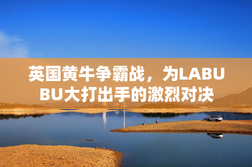 英国黄牛争霸战，为LABUBU大打出手的激烈对决