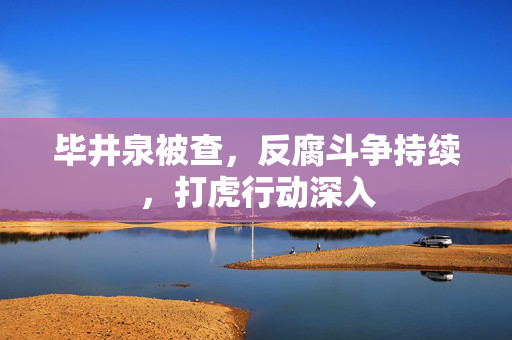 毕井泉被查，反腐斗争持续，打虎行动深入