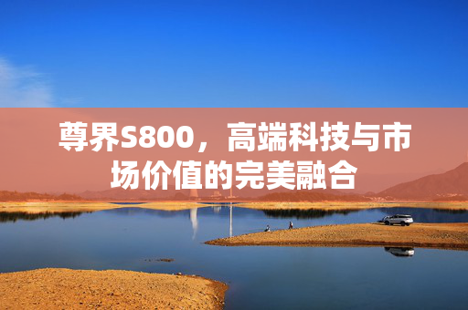尊界S800，高端科技与市场价值的完美融合