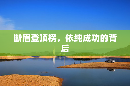 断眉登顶榜，依纯成功的背后