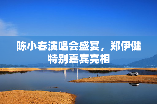 陈小春演唱会盛宴，郑伊健特别嘉宾亮相