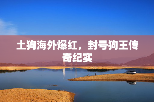 土狗海外爆红，封号狗王传奇纪实