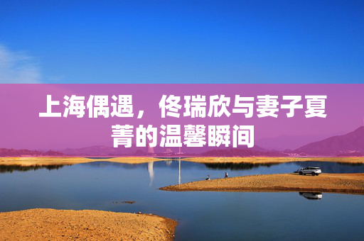 上海偶遇，佟瑞欣与妻子夏菁的温馨瞬间