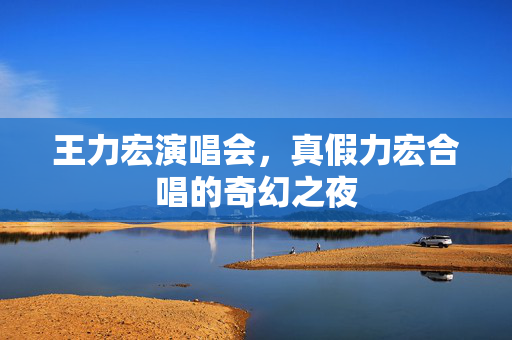 王力宏演唱会，真假力宏合唱的奇幻之夜