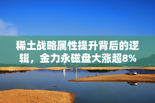 稀土战略属性提升背后的逻辑，金力永磁盘大涨超8%的机构观点