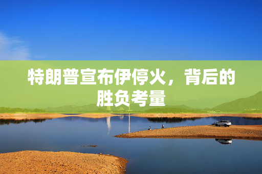 特朗普宣布伊停火，背后的胜负考量