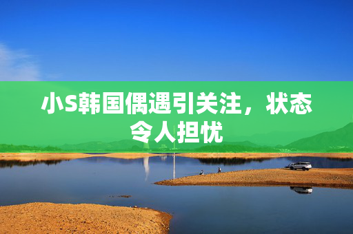 小S韩国偶遇引关注，状态令人担忧