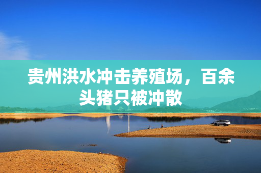 贵州洪水冲击养殖场，百余头猪只被冲散