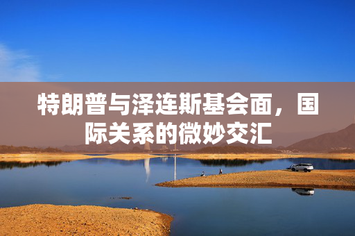 特朗普与泽连斯基会面，国际关系的微妙交汇