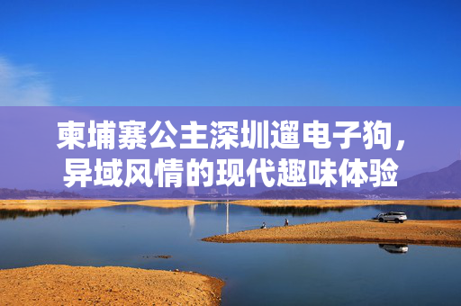 柬埔寨公主深圳遛电子狗，异域风情的现代趣味体验