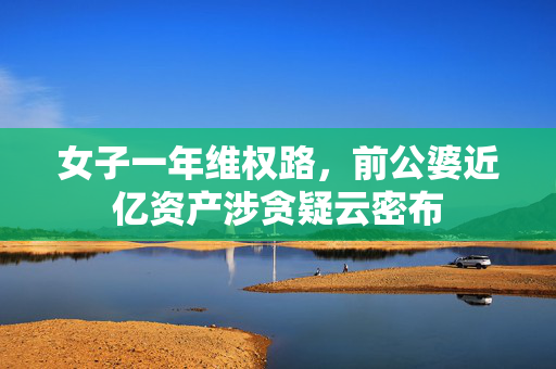 女子一年维权路，前公婆近亿资产涉贪疑云密布