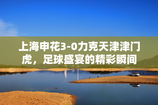 上海申花3-0力克天津津门虎，足球盛宴的精彩瞬间