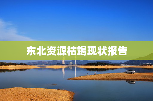 东北资源枯竭现状报告