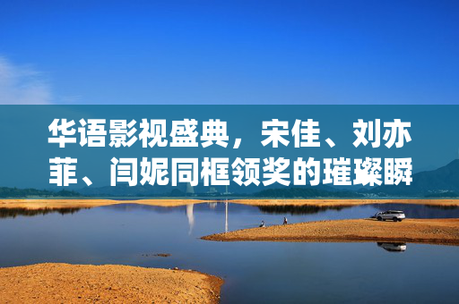 华语影视盛典，宋佳、刘亦菲、闫妮同框领奖的璀璨瞬间