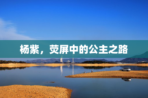 杨紫，荧屏中的公主之路