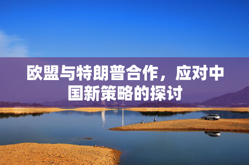欧盟与特朗普合作，应对中国新策略的探讨