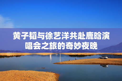 黄子韬与徐艺洋共赴鹿晗演唱会之旅的奇妙夜晚