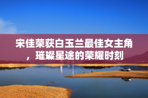 宋佳荣获白玉兰最佳女主角，璀璨星途的荣耀时刻