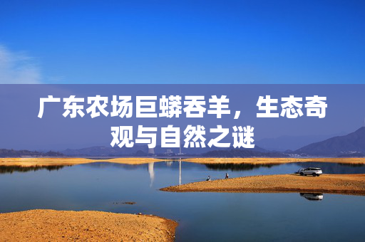广东农场巨蟒吞羊，生态奇观与自然之谜
