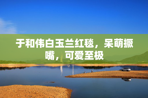 于和伟白玉兰红毯，呆萌撅嘴，可爱至极
