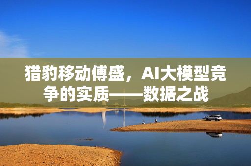 猎豹移动傅盛，AI大模型竞争的实质——数据之战