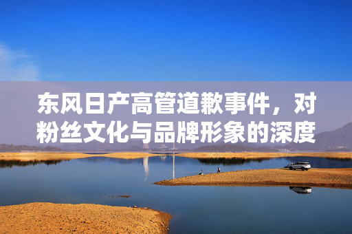 东风日产高管道歉事件，对粉丝文化与品牌形象的深度思考