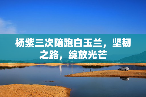 杨紫三次陪跑白玉兰，坚韧之路，绽放光芒