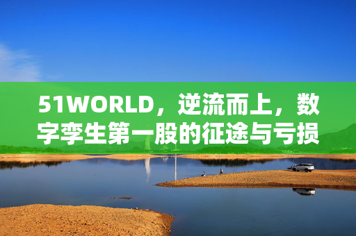51WORLD，逆流而上，数字孪生第一股的征途与亏损背后的多客户供应商重叠现象