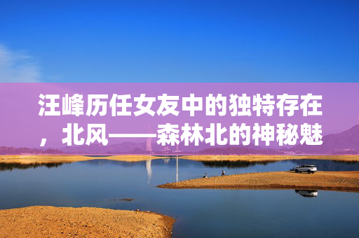 汪峰历任女友中的独特存在，北风——森林北的神秘魅力