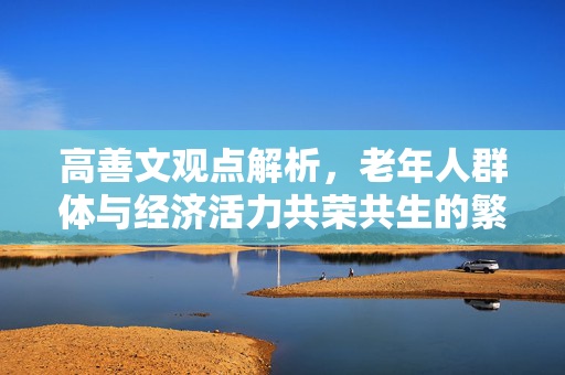 高善文观点解析，老年人群体与经济活力共荣共生的繁荣景象