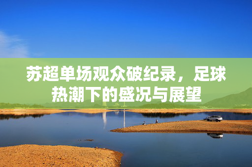 苏超单场观众破纪录，足球热潮下的盛况与展望