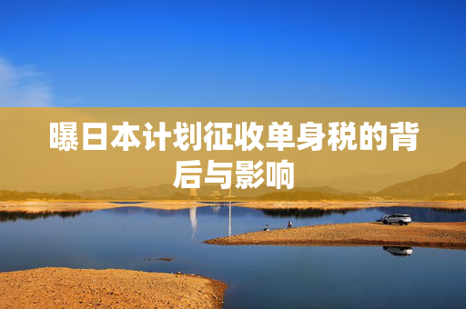 曝日本计划征收单身税的背后与影响