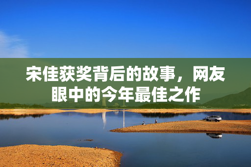 宋佳获奖背后的故事，网友眼中的今年最佳之作