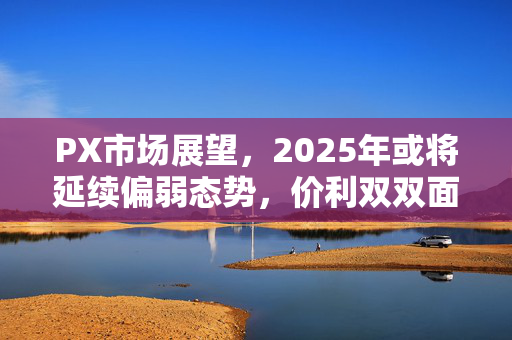 PX市场展望，2025年或将延续偏弱态势，价利双双面临萎缩