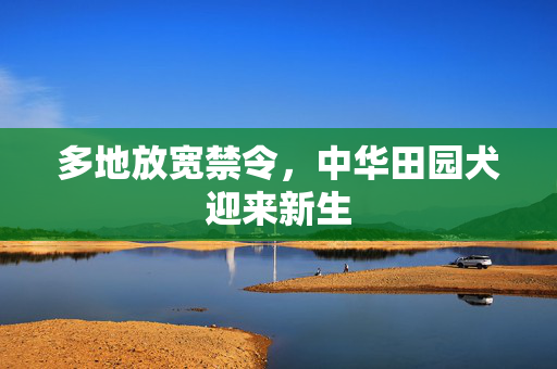 多地放宽禁令，中华田园犬迎来新生