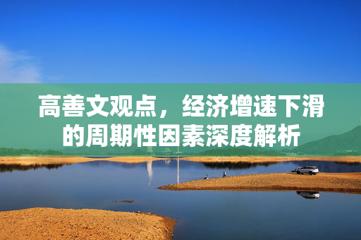 高善文观点，经济增速下滑的周期性因素深度解析
