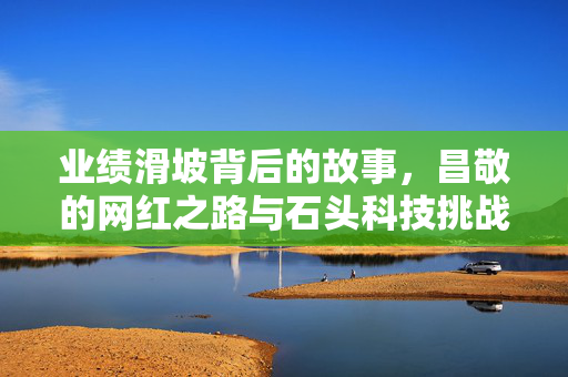 业绩滑坡背后的故事，昌敬的网红之路与石头科技挑战