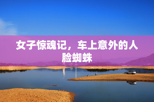 女子惊魂记，车上意外的人脸蜘蛛