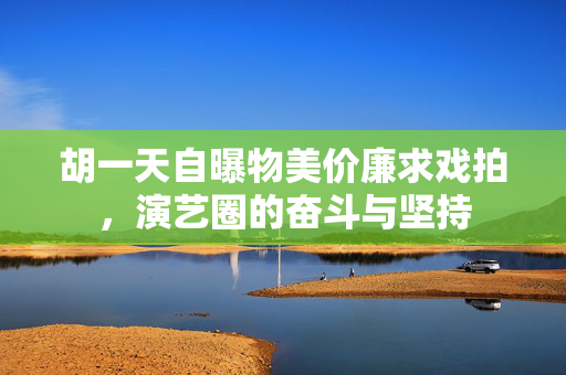 胡一天自曝物美价廉求戏拍，演艺圈的奋斗与坚持