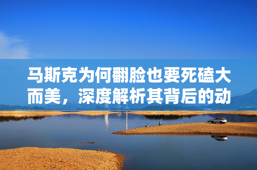 马斯克为何翻脸也要死磕大而美，深度解析其背后的动机与战略考量