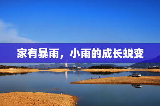家有暴雨，小雨的成长蜕变